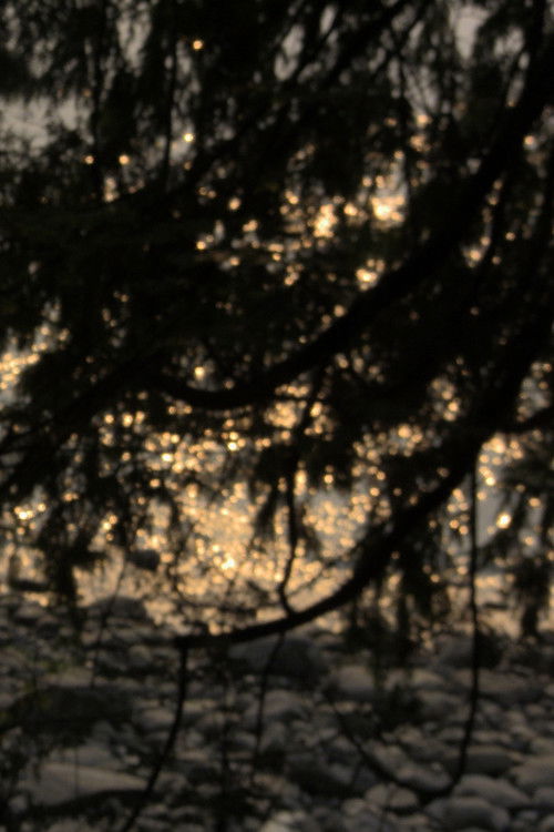 Narcissus (1996) poster