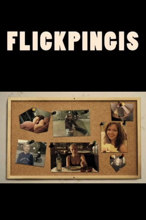 Flickpingis (2005) poster