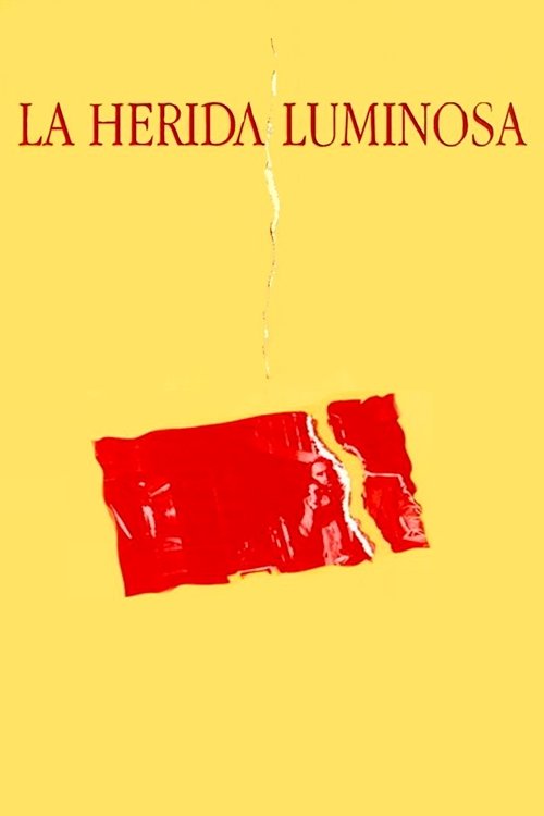 La herida luminosa (1997) poster