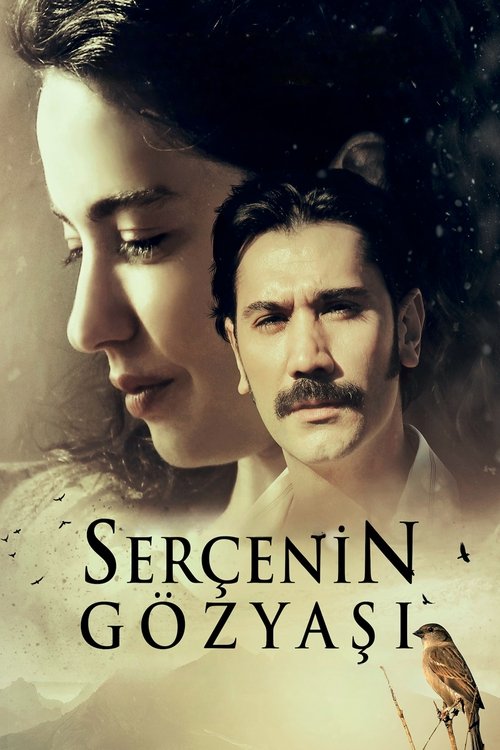 Serçenin Gözyaşı (2023) poster