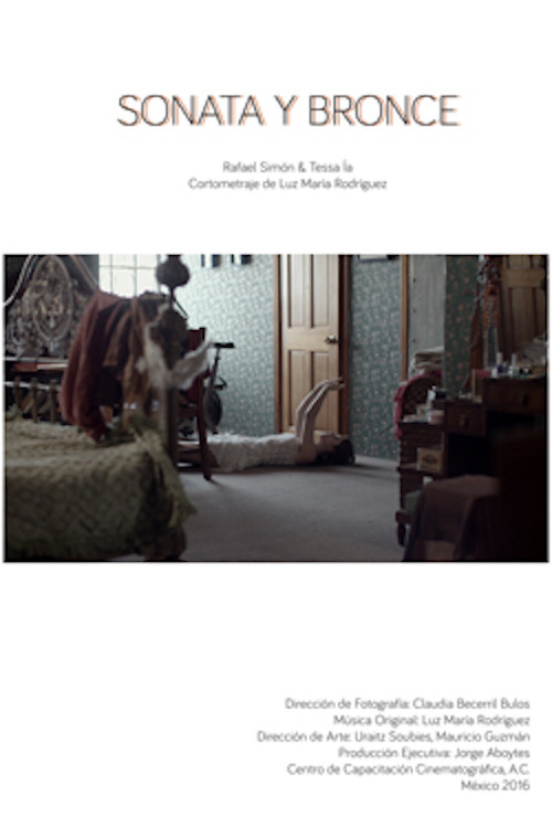 Bronze Sonata (2016) poster