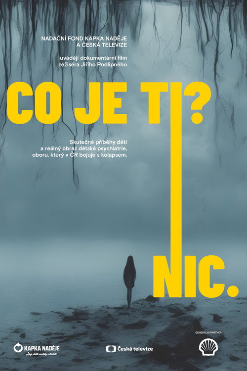 What's wrong with you? Nothing. (2023) poster