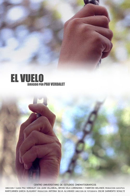 El vuelo (2017) poster