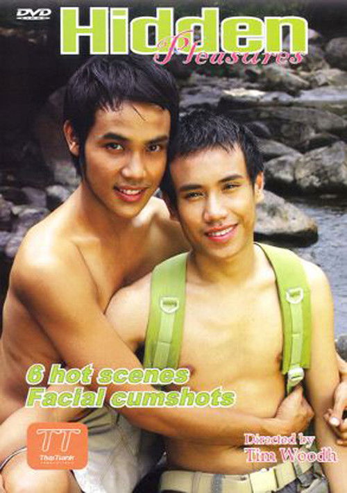 Hidden Pleasures (2005) poster