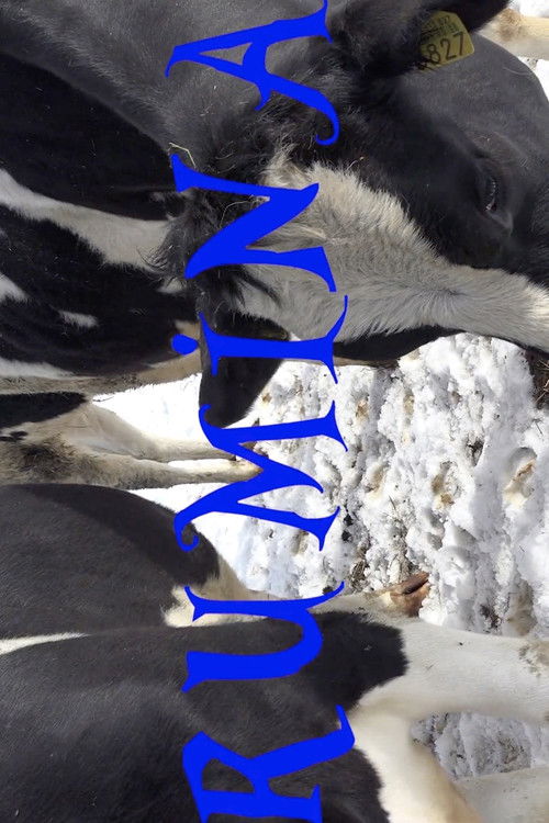 Rumina (2017) poster