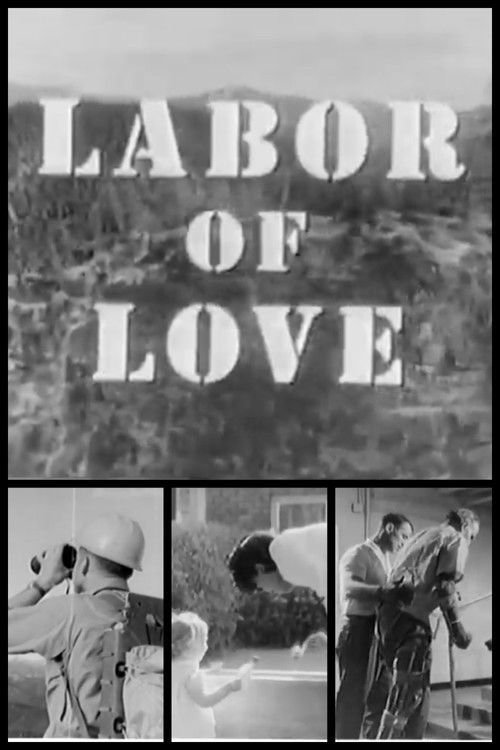 Labor of Love (1964) poster