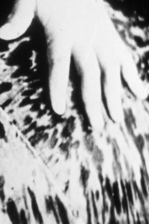 Manifest Destiny (2016) poster