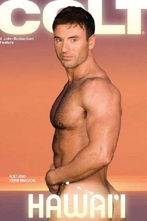 Hawai'i (2007) poster