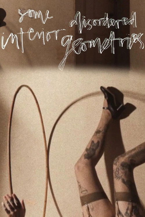 Interior Geometries (2025) poster