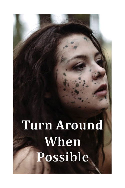 Turn Around When Possible (2014) poster