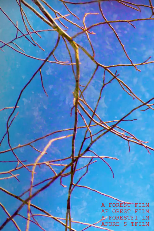 A Forest Film (2025) poster