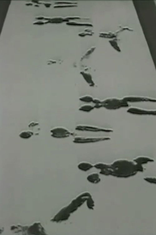 Anthropometries of the Blue Period and Fire Paintings (1960) poster