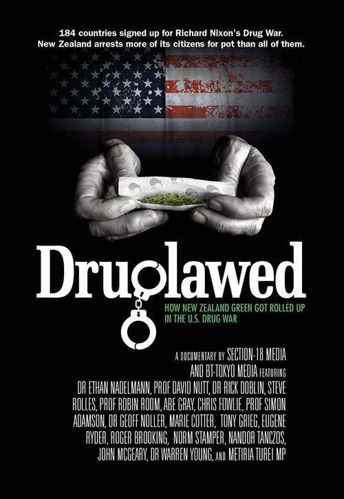 Druglawed (2015) poster