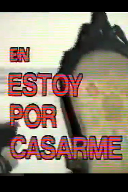 Getting Hitched (1991) poster