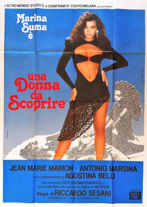 Una donna da scoprire (1987) poster