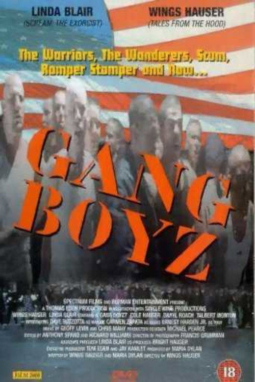 Gang Boys (1994) poster