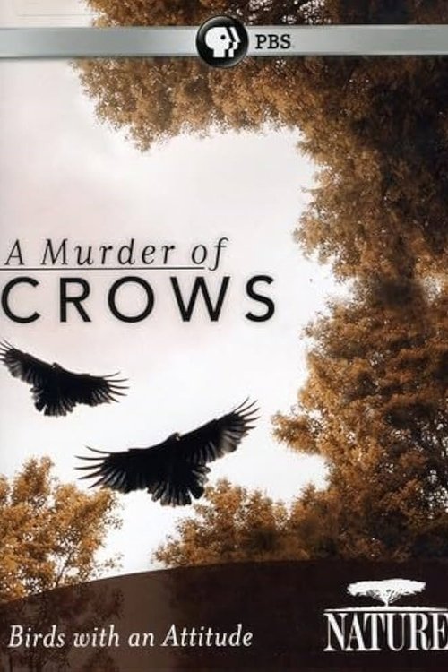 A Murder of Crows (2010) poster