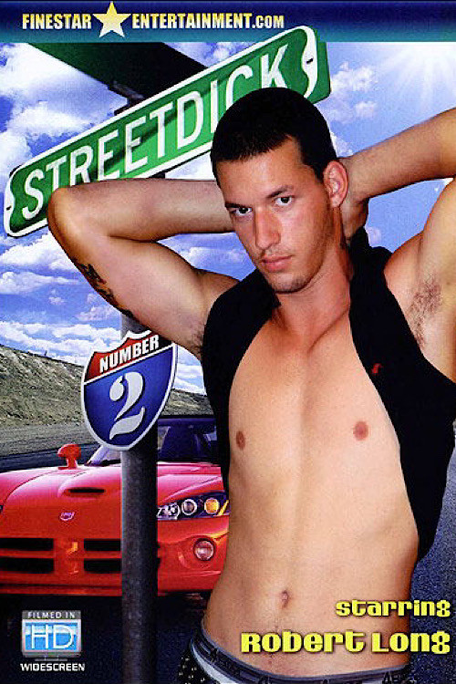 Street Dick 2 (2008) poster