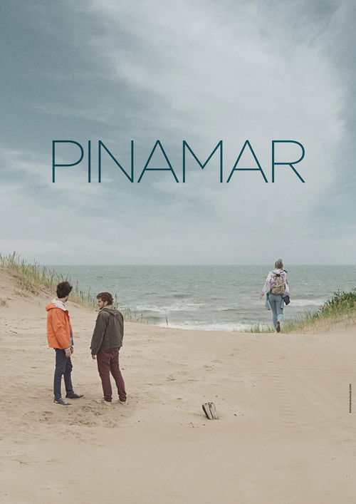 Pinamar (2016) poster