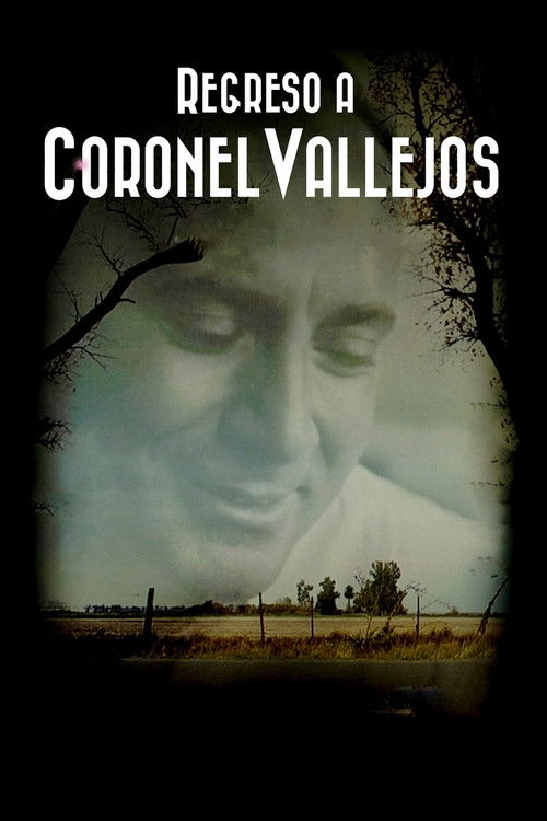 Regreso a Coronel Vallejos (2018) poster