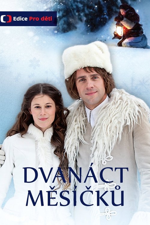 Dvanáct měsíčků (2013) poster