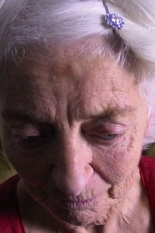 While the Cat's Away (2003) poster