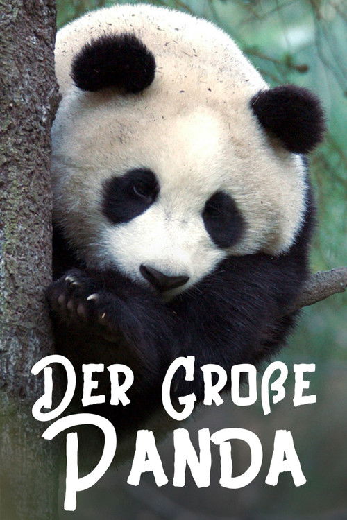 Der Große Panda (2020) poster