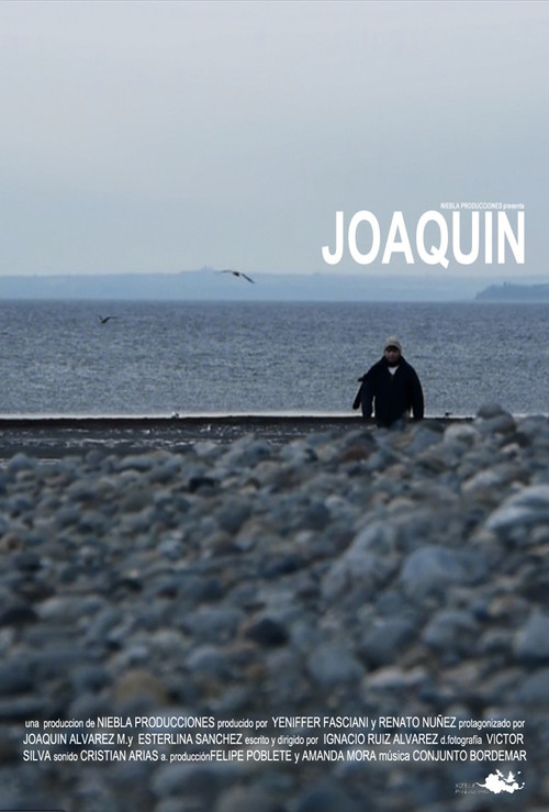 Joaquín (2011) poster