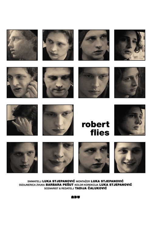 Robert Flies (2025) poster