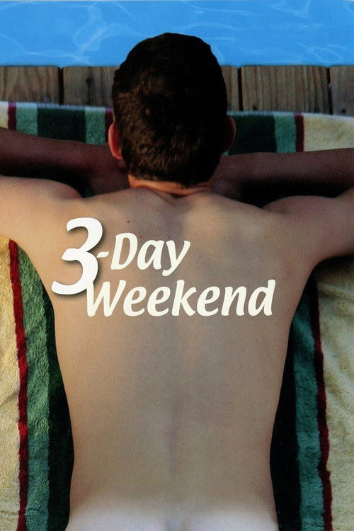 3-Day Weekend (2008) poster
