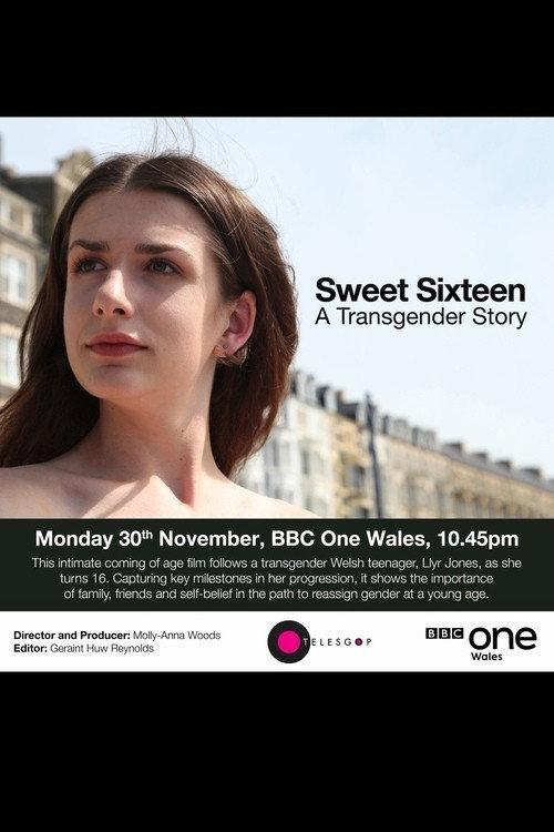 Sweet Sixteen: A Transgender Story (2017) poster