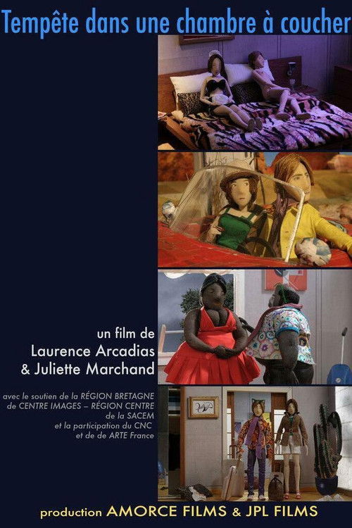 Tempête dans une chambre à coucher (2011) poster