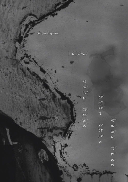 Latitude Mesh (2024) poster