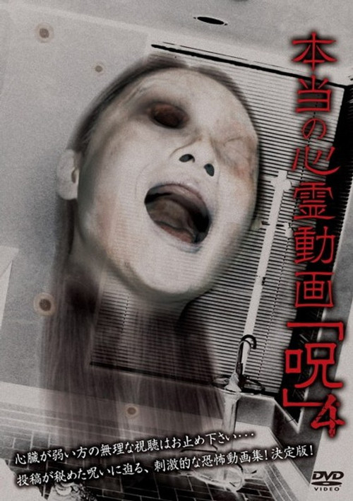 Hontō no Shinrei Dōga 'Noroi' 4 (2013) poster