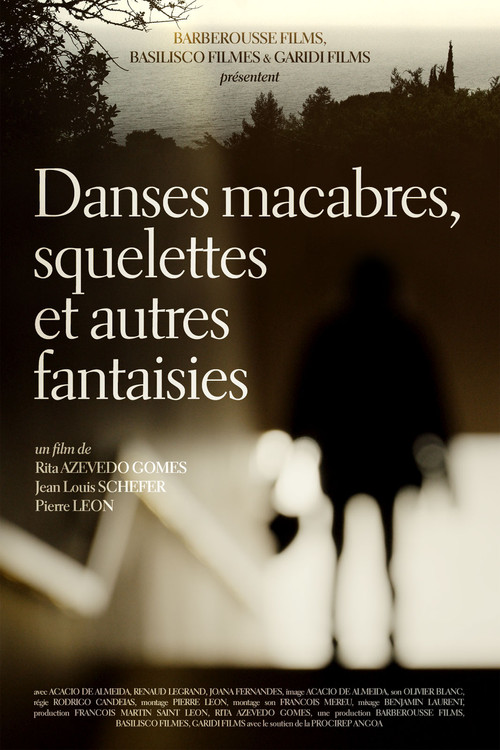 Danses Macabres, Skeletons, and Other Fantasies (2019) poster