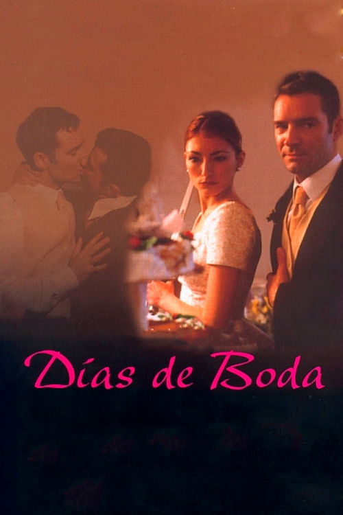 Días de voda (2002) poster