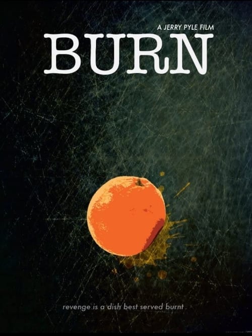 Burn (2011) poster