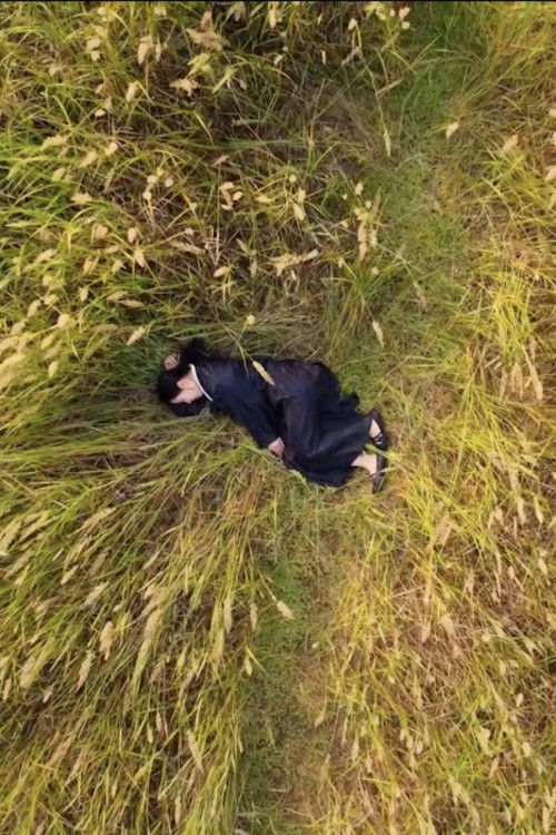 Paris to Pyongyang (2024) poster