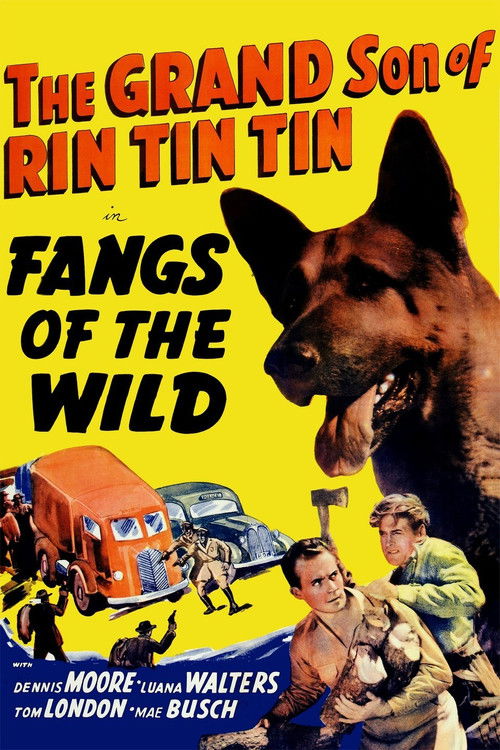 Fangs of the Wild (1939) poster