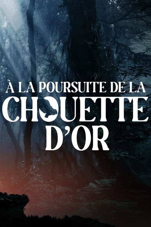 A la poursuite de la chouette d'or (2024) poster