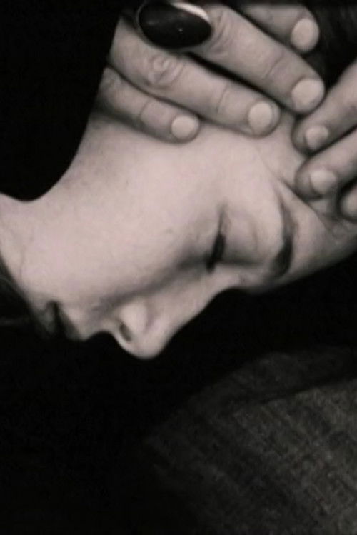 Peeper Palace (2010) poster