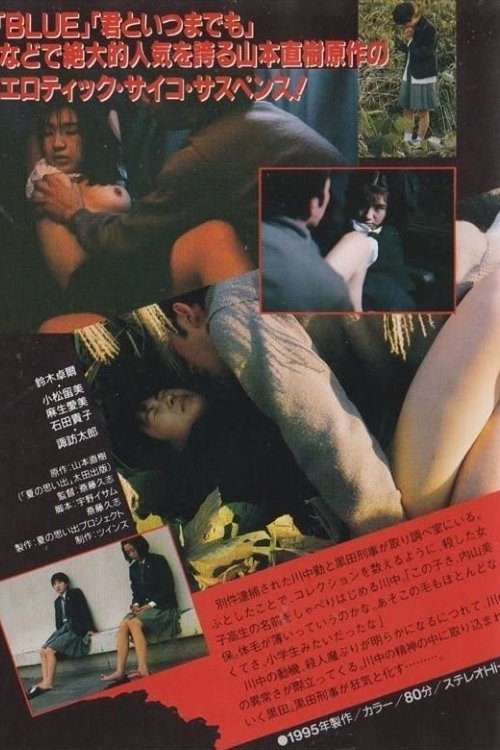 Summer Memories: An Abnormal Happy Killer (1995) poster