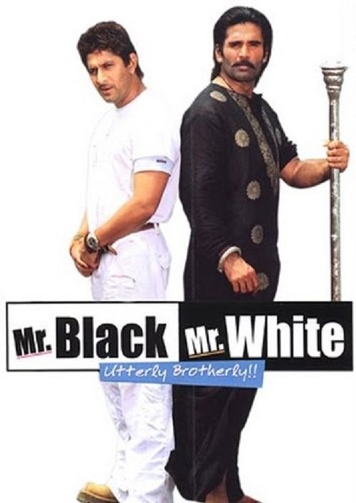 Bay Beyaz ve Bay Siyah / Mr. White Mr. Black (2008) poster