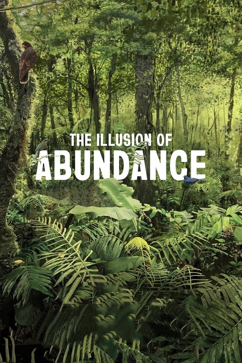 The Illusion of Abundance (2022) poster