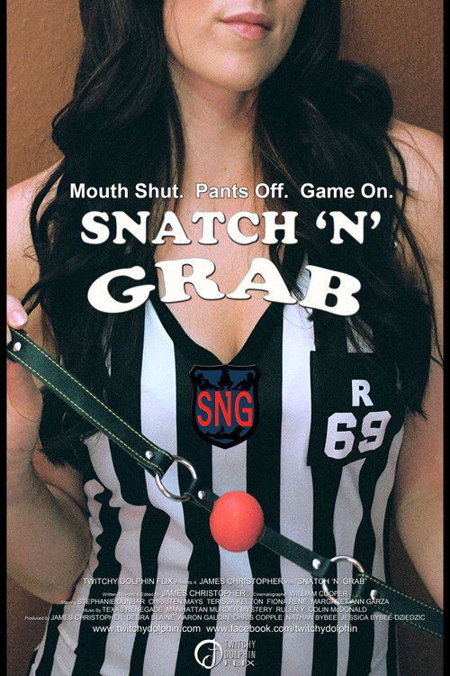 Snatch N Grab (2010) poster