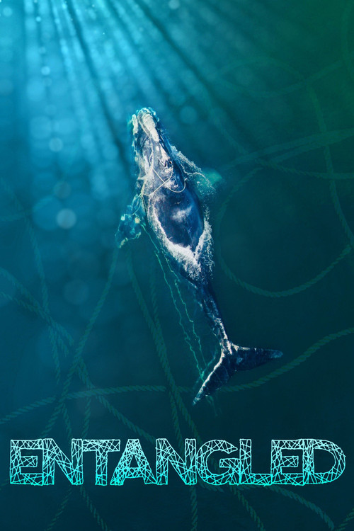 Entangled (2020) poster