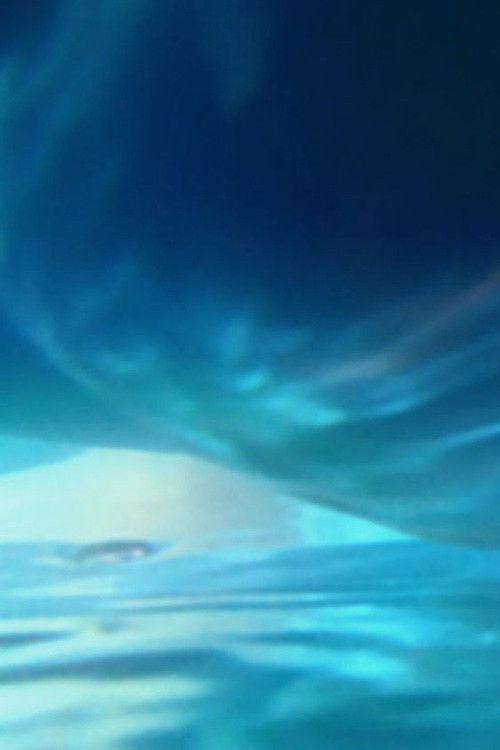 How Much Air Lungs Can Hold (2024) poster