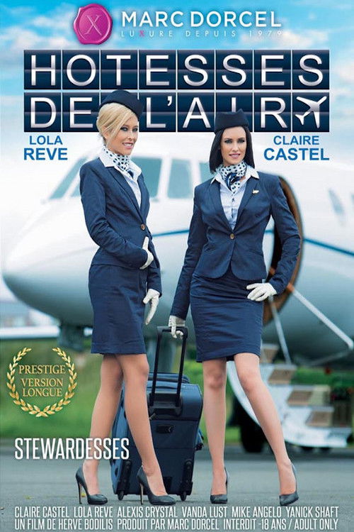 Stewardesses (2015) poster