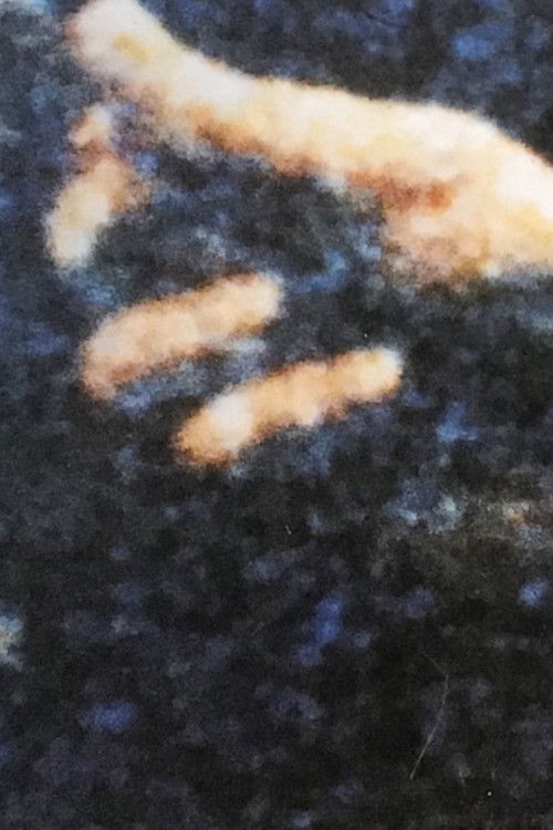 Angledozer (1996) poster