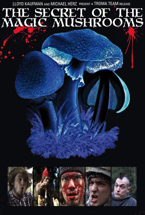The Secret of the Magic Mushrooms (2009) poster